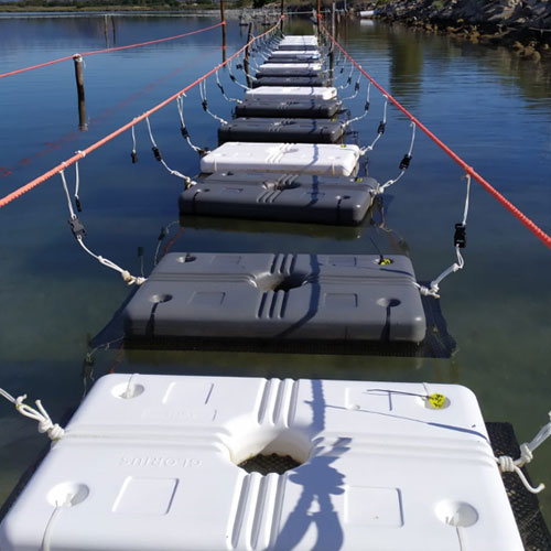 OyFloat floats for oyster farming