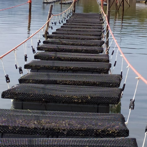 OyFloat Floats form Oyster Farms